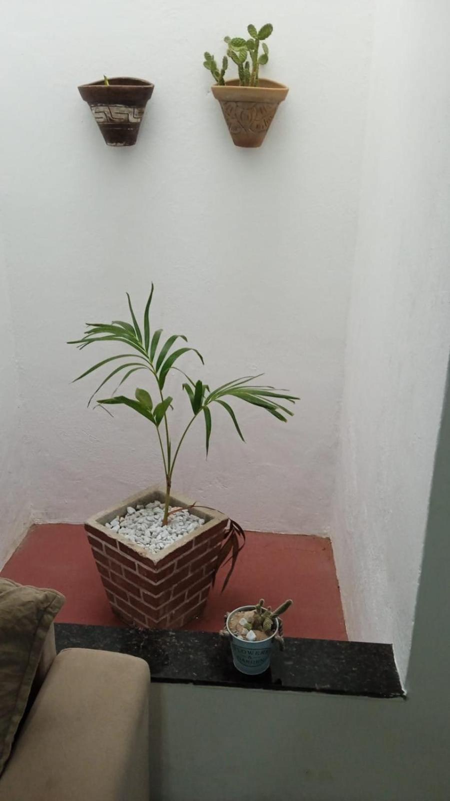 Casa Md Villa Camocim Ngoại thất bức ảnh